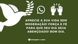 'Aprecie a sua vida sem moderação! Força e fé para que seu dia seja abençoado! Bom dia.' - Mensagem de fé para WhatsApp
