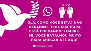 'Olá, como você está? Não desanime, pois sua hora está chegando! Lembre-se, você batalhou muito para chegar até aqui. Tenha fé, já deu certo! Beijos.' - Mensagem de fé para WhatsApp