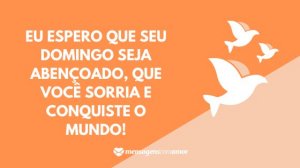 'Eu espero que seu domingo seja abençoado, que você sorria e conquiste o mundo!' - Mensagem de domingo abençoado