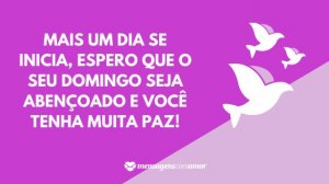 'Mais um dia se inicia, espero que o seu domingo seja abençoado e você tenha muita paz!' - Mensagem de domingo abençoado