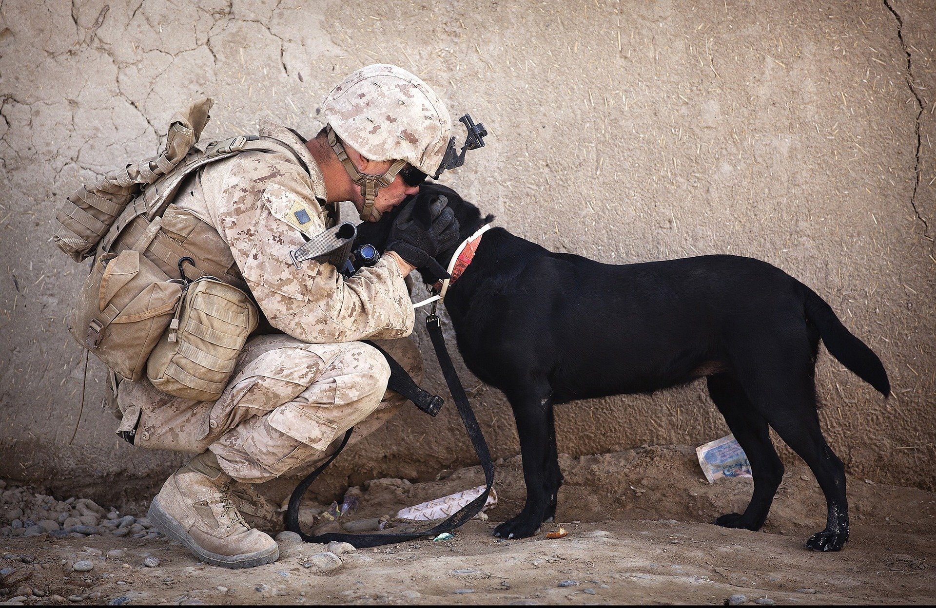 Foto de soldado beijando cachorra