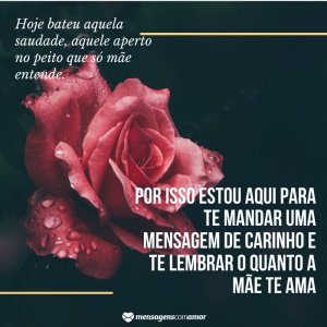 'Por isso estou aqui para te lembrar o quanto a mãe te ama' - Mensagem de boa noite com rosas