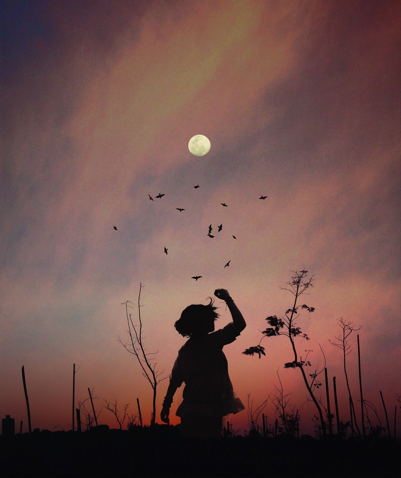 Silhueta de pessoa dançando ao pôr do sol abaixo de uma lua cheia.