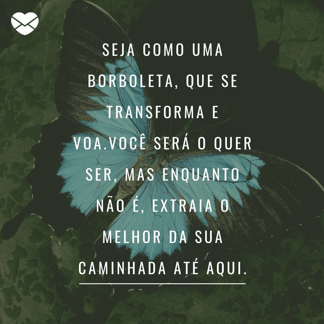 'Seja como uma borboleta, que se transforma e voa.Você será o quer ser, mas enquanto não é, extraia o melhor da sua caminhada até aqui.' -  Comece ser agora quem você quer ser