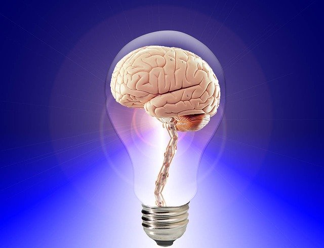 Foto  de cérebro dentro de lâmpada