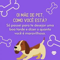 Mulher abraçando cachorro e gato