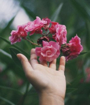 Pessoa tocando em uma flor
