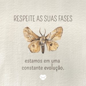 Respeite as suas fases, estamos em uma constante evolução. - Frases tumblr para status