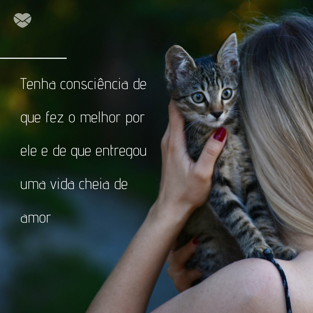 Para quem perdeu um bichinho - A vida continua - Sentimentos