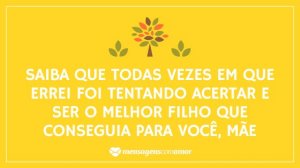 ' Saiba que todas vezes em que errei foi tentando acertar e ser o melhor filho que conseguia para você, mãe.' - Desculpa Mãe