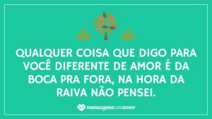 'Qualquer coisa que digo para você diferente de amor é da boca pra fora, na hora da raiva não pensei.' - Desculpa Mãe