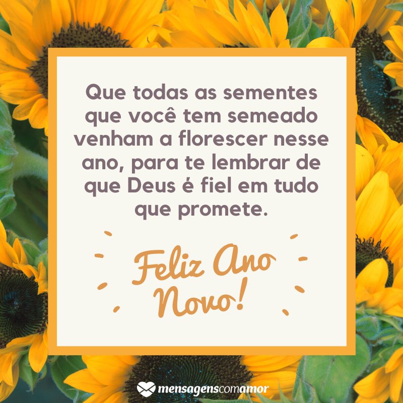 'Que todas as sementes que você tem semeado venham a florescer nesse ano.' - Mensagem de ano novo evangélica