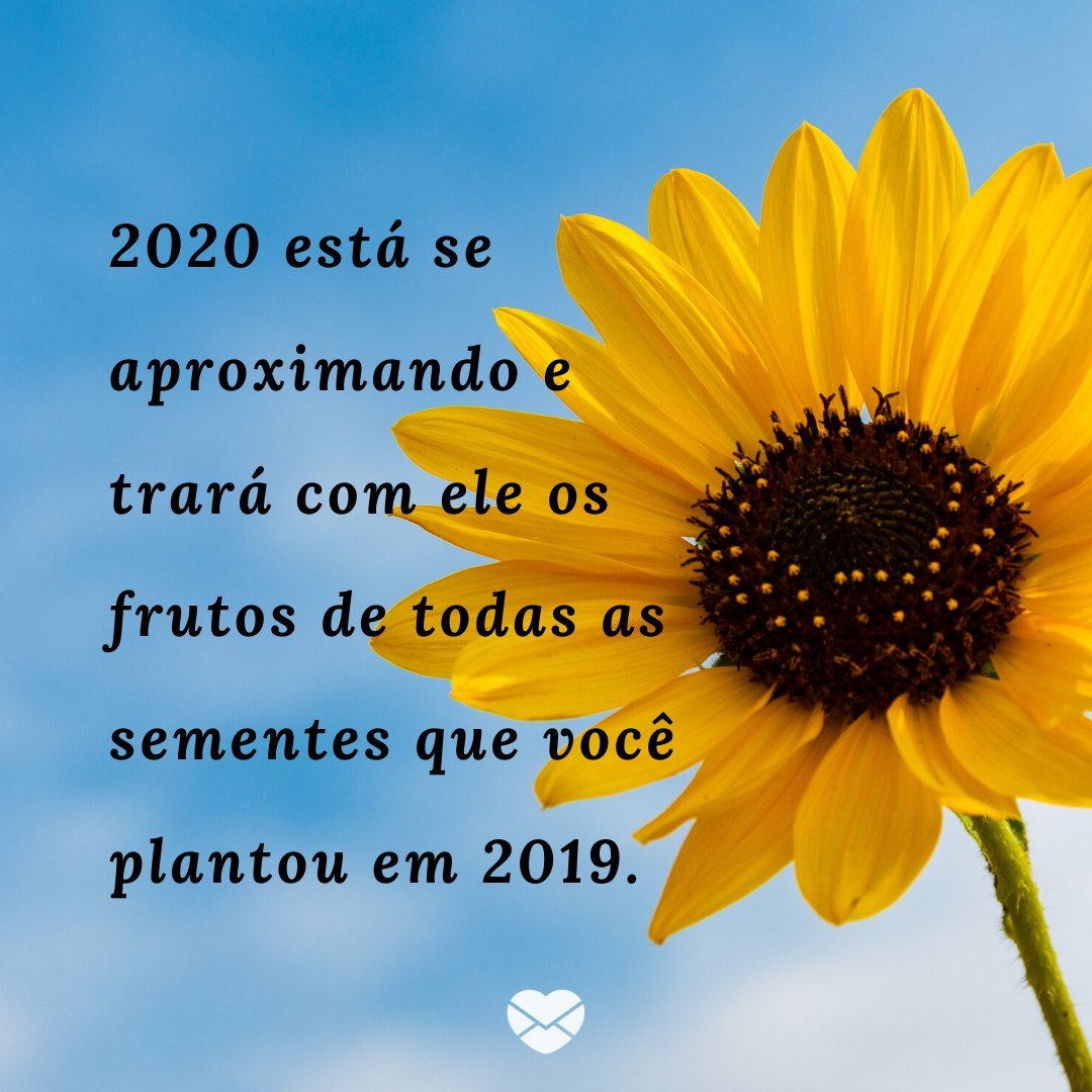 '2020 está se aproximando e trará com ele os frutos de todas as sementes que você plantou em 2019.' - Mensagens de ano novo 2020