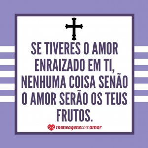 “Se tiveres o amor enraizado em ti, nenhuma coisa senão o amor serão os teus frutos.” - Mensagem de Santo Agostinho