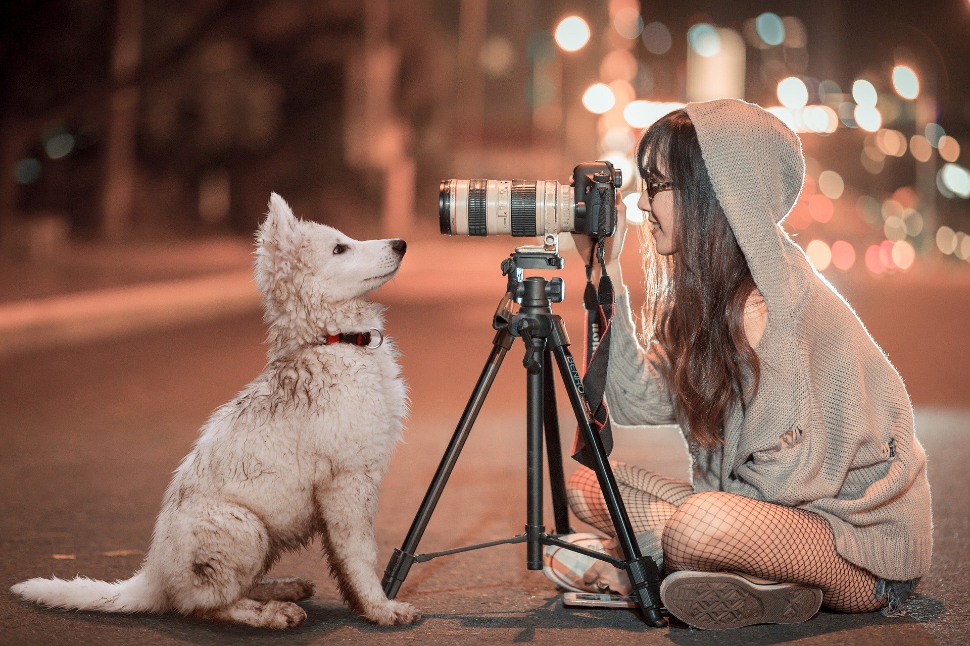 Menina tirando foto de cachorro