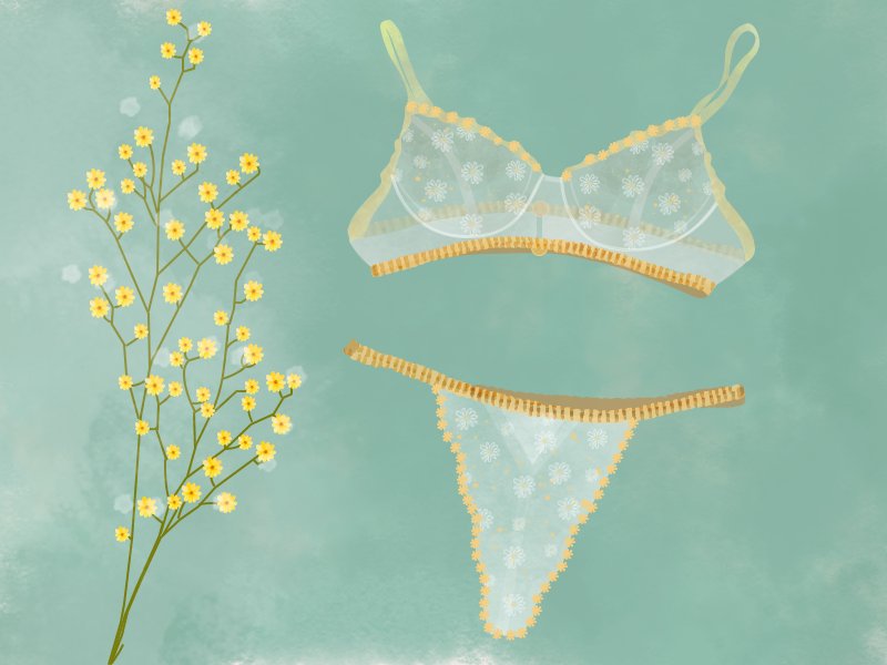 Ilustração de peças de lingerie com flores.