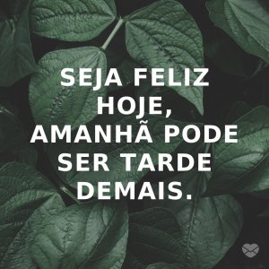 'Seja feliz hoje, amanhã pode ser tarde demais.' - Felicidade É Só Questão De Ser