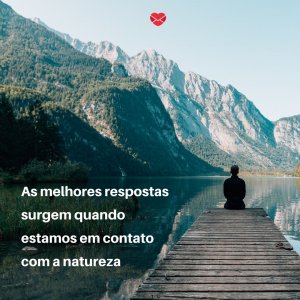 'As melhores respostas surgem quando estamos em contato com a natureza' - Seja como flor, siga o sol!