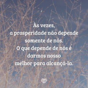 'Não se martirize por sua vida não ser tão próspera quanto você gostaria. Às vezes, a prosperidade não depende somente de nós. O que depende de nós é darmos nosso melhor para alcançá-la.' - Mensagens de prosperidade