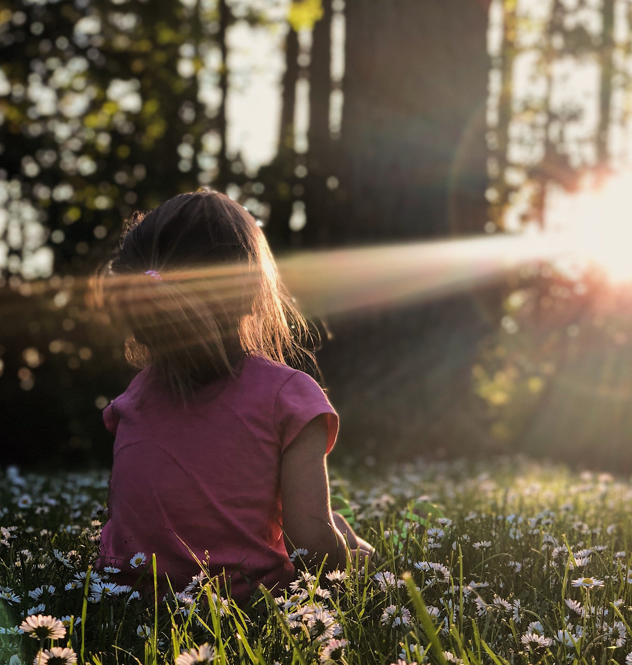 Criança sentada em um gramado olhando para o pôr do sol