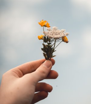 Por: Isaac Mehegan - Unsplash Pessoa segurando uma flor