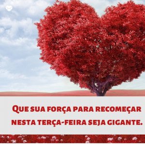 Canva | Mensagens com Amor 'Que sua força para recomeçar nesta terça-feira seja gigante' - Imagens de bom dia terça feira
