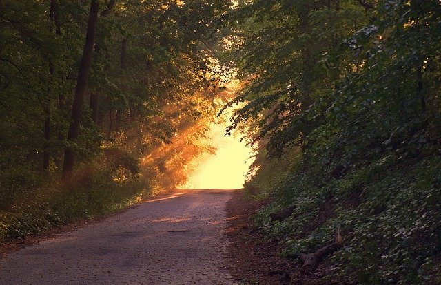 Estrada com Sol ao fundo