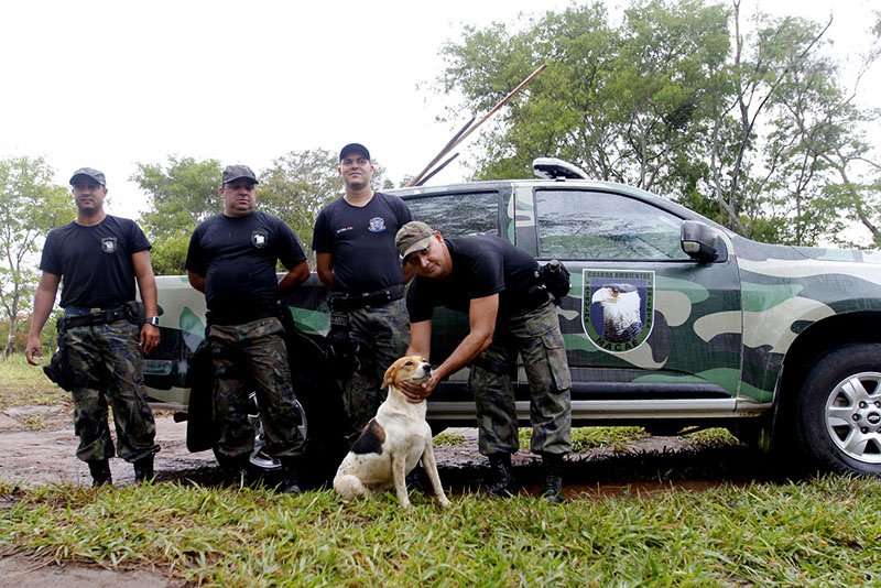 Quatro agentes de Defesa Ambiental e um cachorro. Três deles estão encostados em um carro de trabalho, e o quarto está com as mãos fazendo carinho no cachorro.