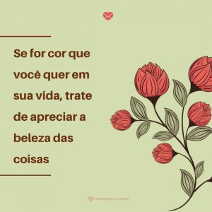 Mensagens Com Amor 'Se for cor que você quer em sua vida, trate de apreciar a beleza das coisas' - Imagens de bom dia quinta feira
