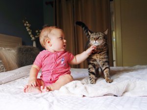 Rachel Gagnon Bebê fazendo carinho no gato