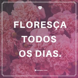 Mensagens Com Amor 'Floresça todos os dias' - Tenha uma terça abençoada!