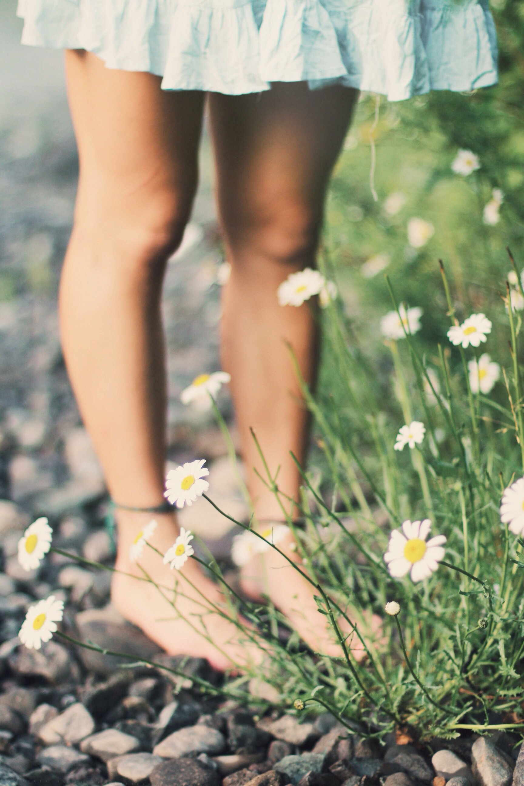 Mulher em pé em gramado e pedras com flores