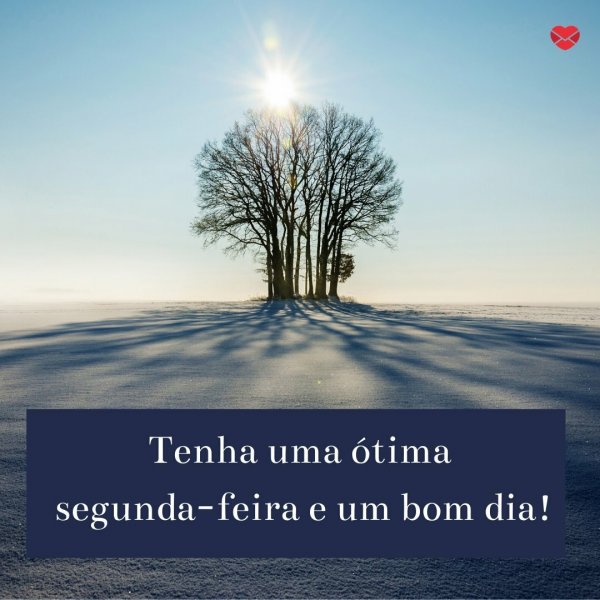 Imagens de bom dia, segunda-feira. Dê um up na sua semana!