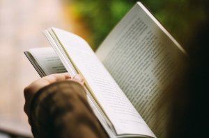 Pixabay/Free-Photos Pessoa lendo um livro