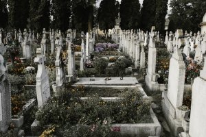 Unsplash/Anton Darius Túmulos com flores e grama