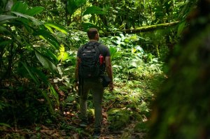 pexels - juan mendez Homem carregando mochila anda pelo meio de uma floresta.