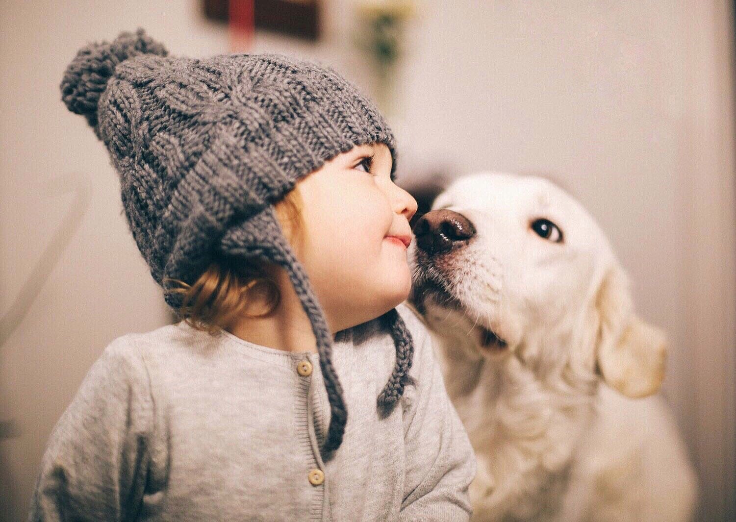 Criança olhando para o lado enquanto cachorro está cheirando seu rosto