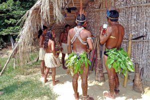 Pixabay Foto de índios
