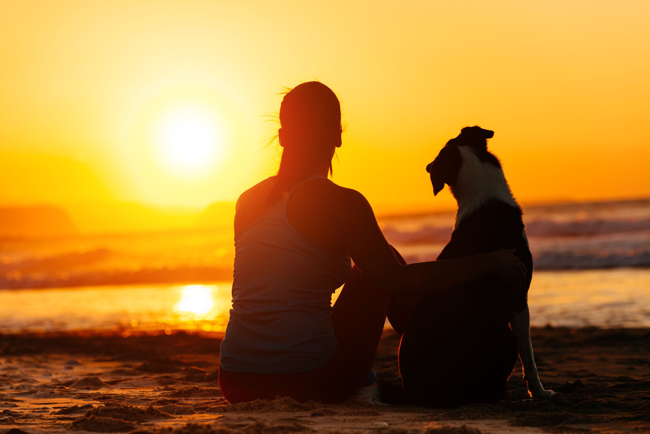 Foto de pessoa e cachorro sentados olhando por do sol