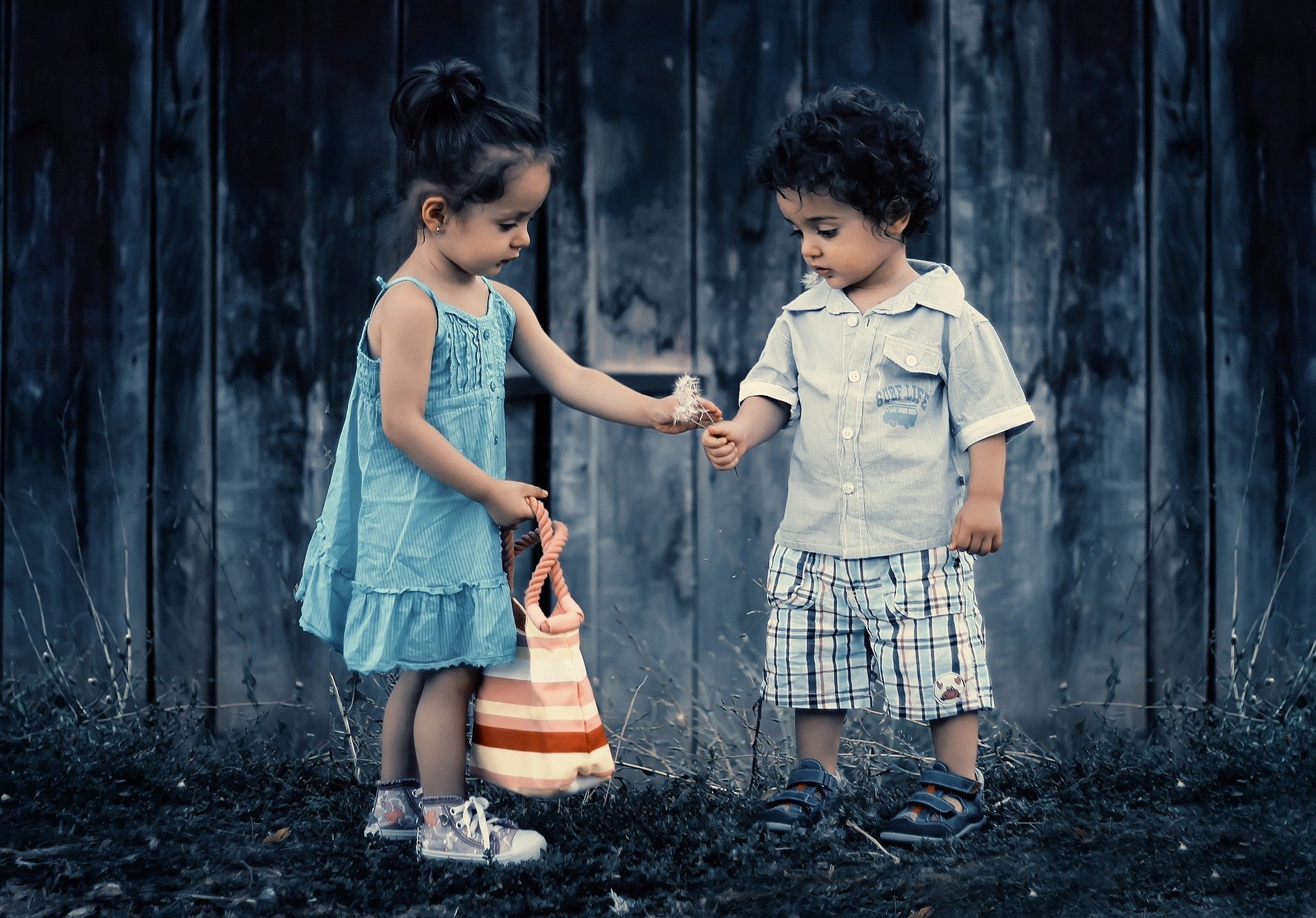 Menino e menina, ambos crianças, entregando flores um ao outro