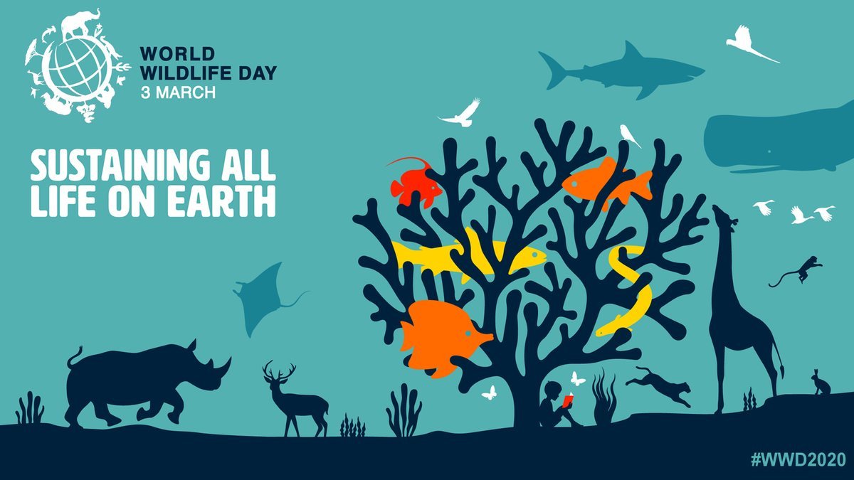 Imagem oficial de divulgação do Dia Mundial da Vida Selvagem