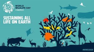 World Wild Life Day Imagem oficial de divulgação do Dia Mundial da Vida Selvagem