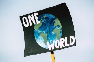 Foto de Markus Spiske temporausch.com no Pexels Placa de protesto com os escritos 'um só mundo' em inglês.