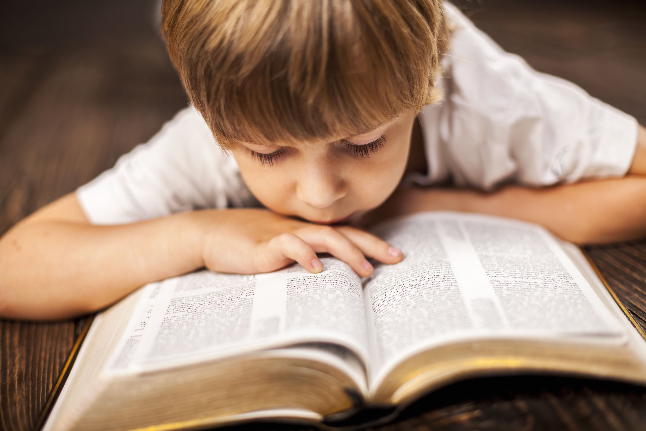 За день ученик прочитал. Библия для детей. Книга для мальчиков. Книги для детей. Чтение Священного Писания.