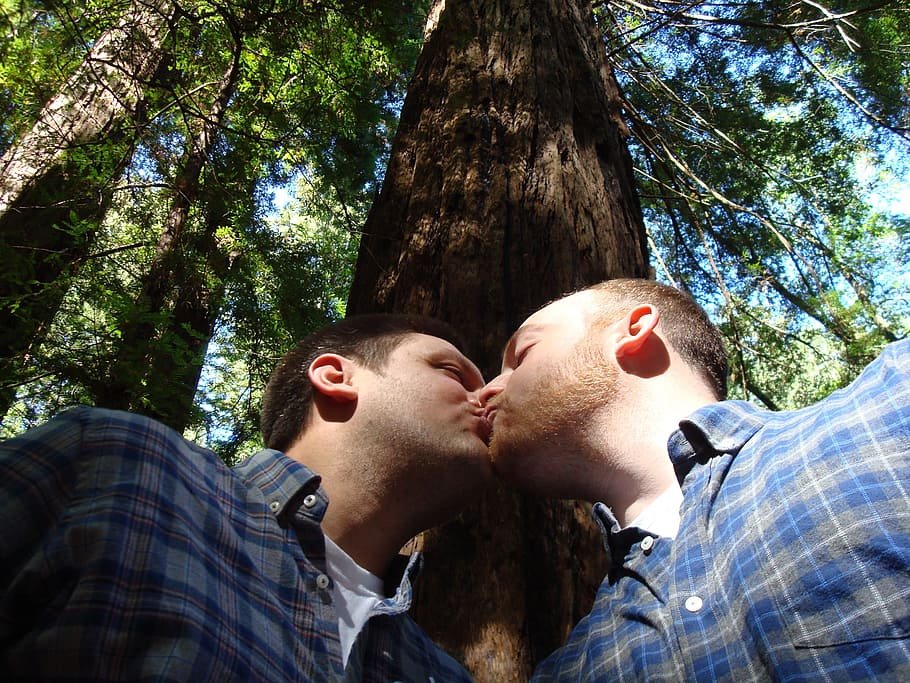 Dois homens se beijando embaixo de uma árvore em uma floresta. Foto tirada de baixo para cima.