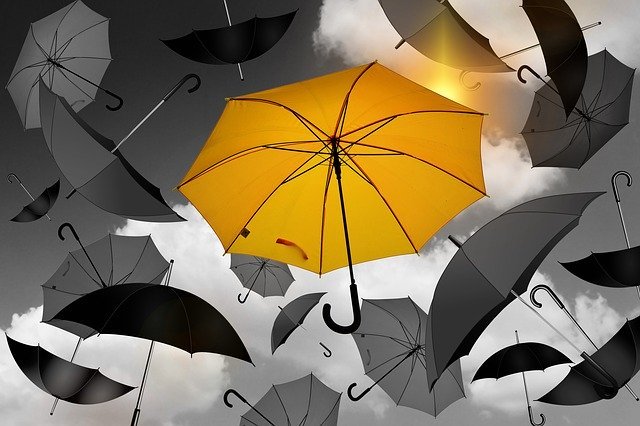 Guarda-chuva amarelo destacando-se de guarda-chuvas em preto e branco