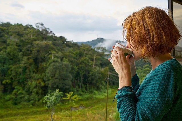 Mulher bebericando xícara e olhando para floresta