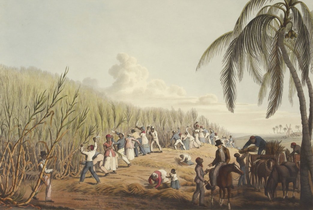 Pintura de escravos cortando cana-de-açúcar na ilha de Antígua em 1823.