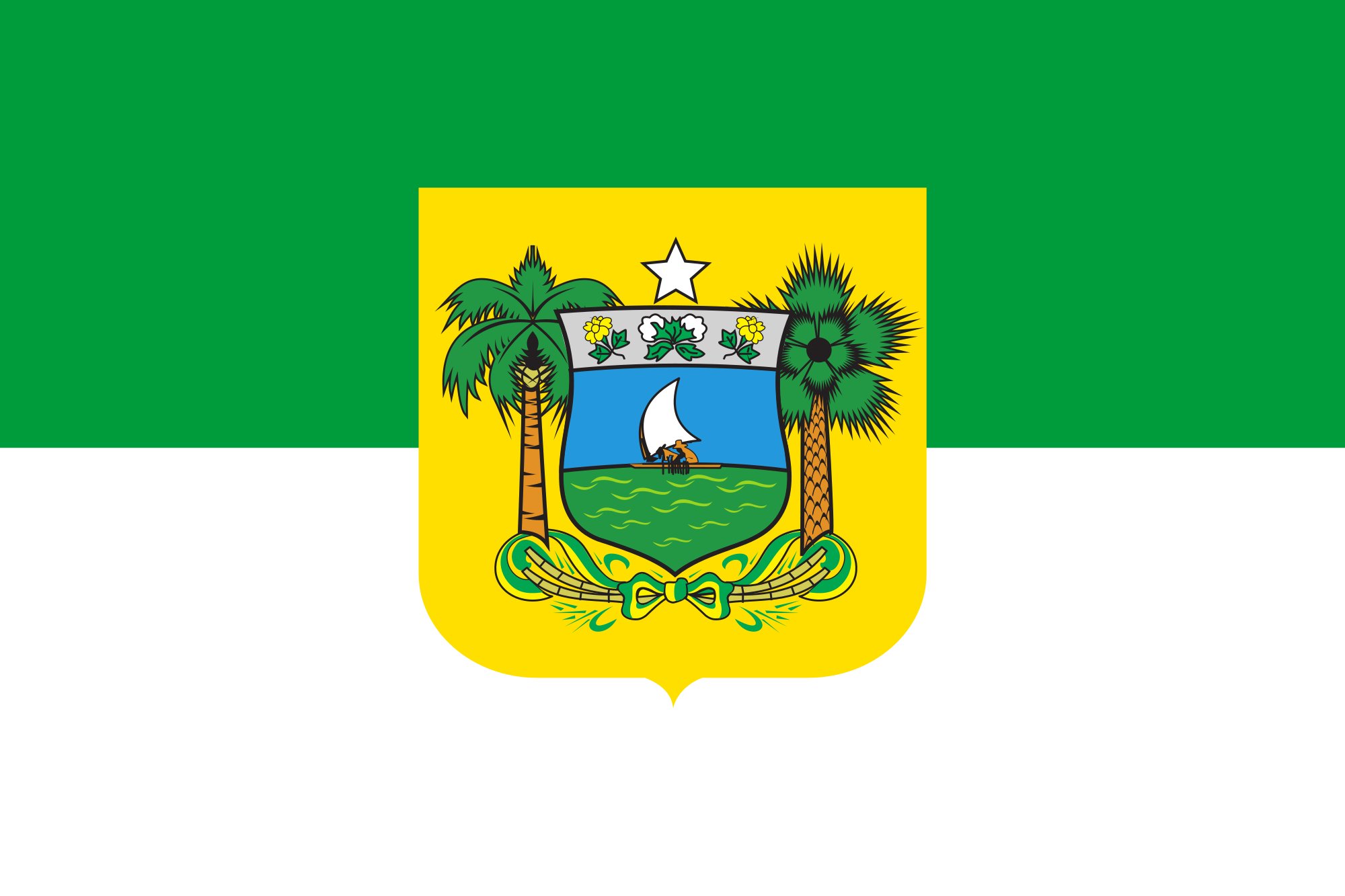 Bandeira do estado do Rio Grande do Norte