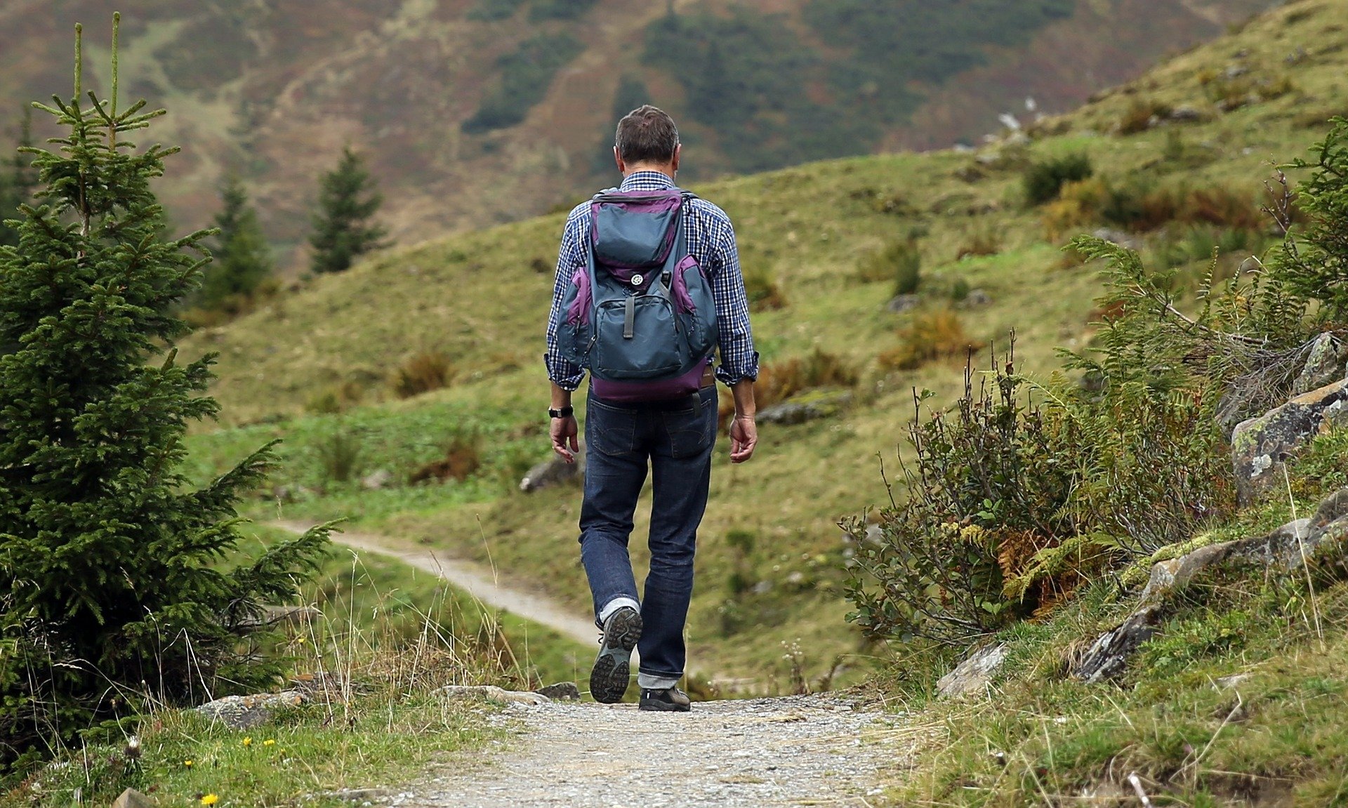 Foto de homem caminhando em meio a floresta